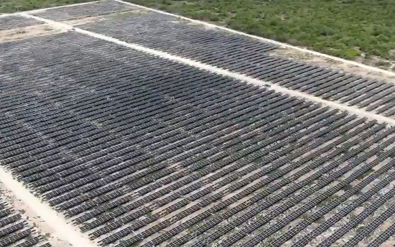 Solar farm powers 30,000 homes in Yucatan